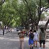 Paseo por Liuyuan