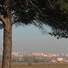 Parquesol desde lejos