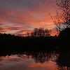 Atardecer en el pantano