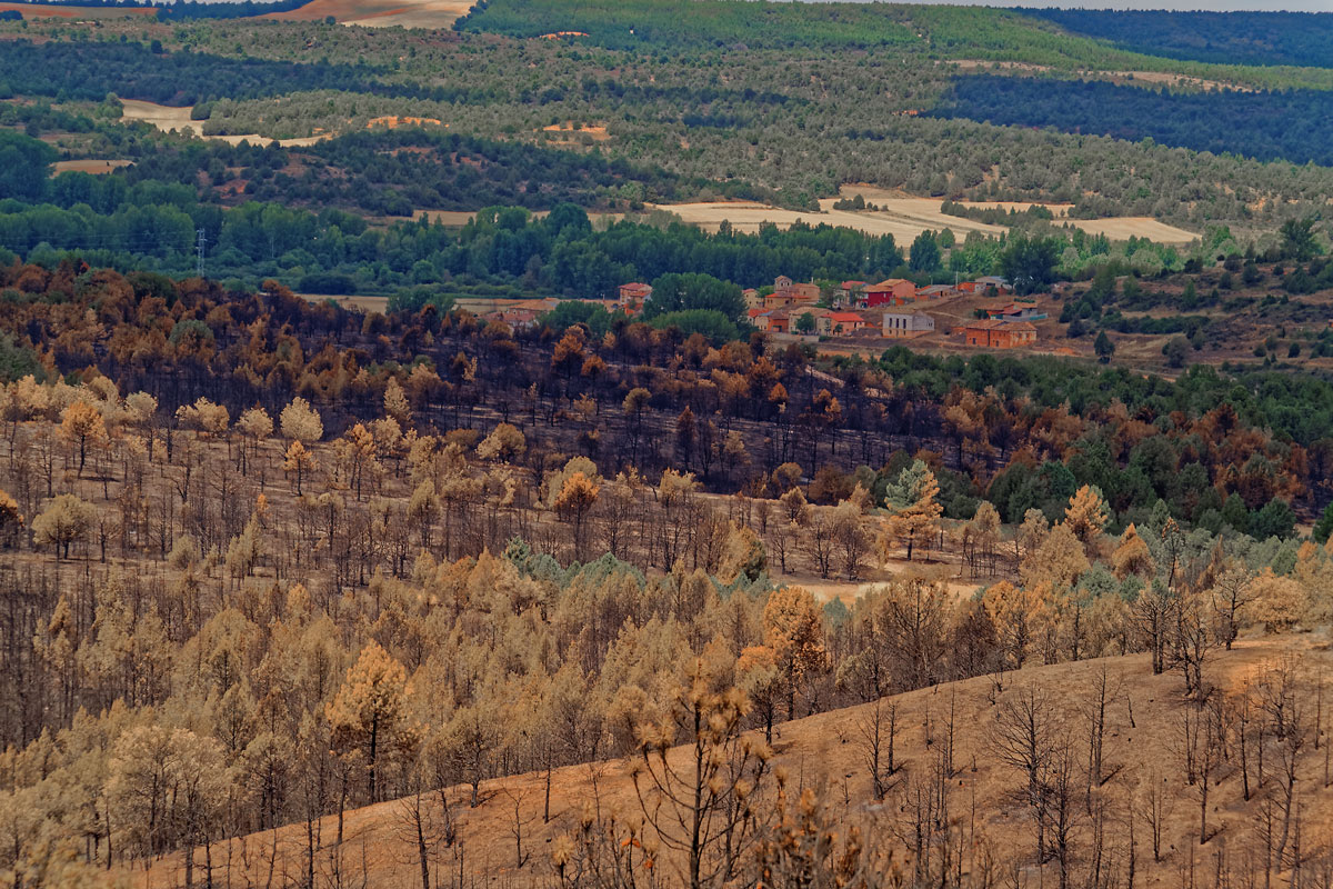 Incendio en Barcebalejo, Soria