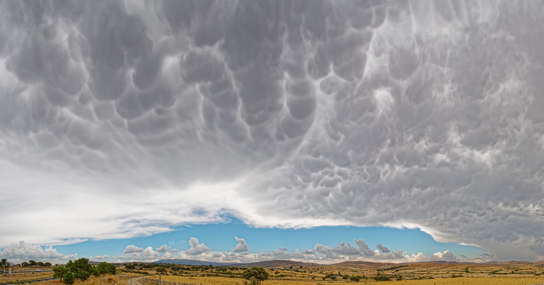 Mammatus