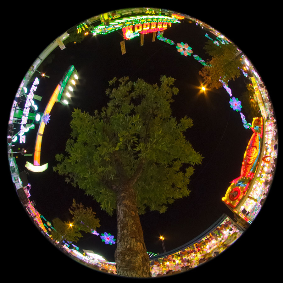 Ferias 360