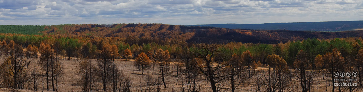 Incendio de Barcebalejo