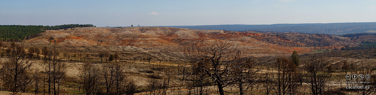 Incendio de Barcebalejo marzo 2016
