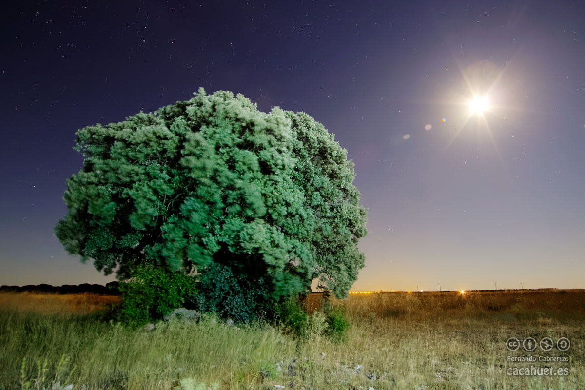 Paisaje nocturno
